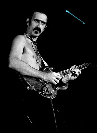 Zappa19077